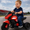 Ninja EV Electric Bike (No 1 Rider)