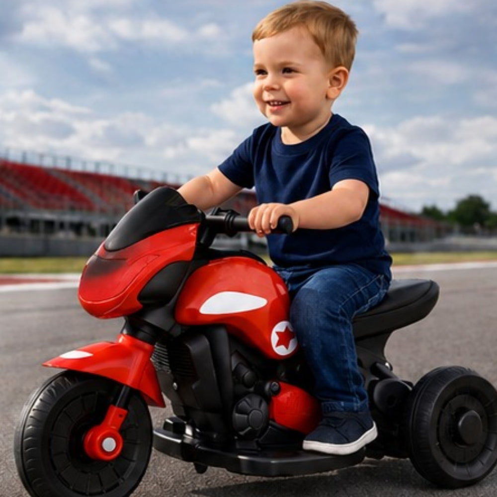 Ninja EV Electric Bike (No 1 Rider)